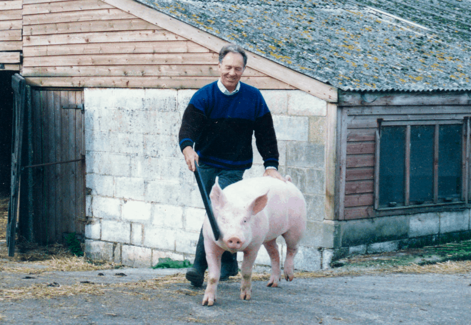 John Shinner in 1989 persuading one of his boars to move in the direction of his choice!
