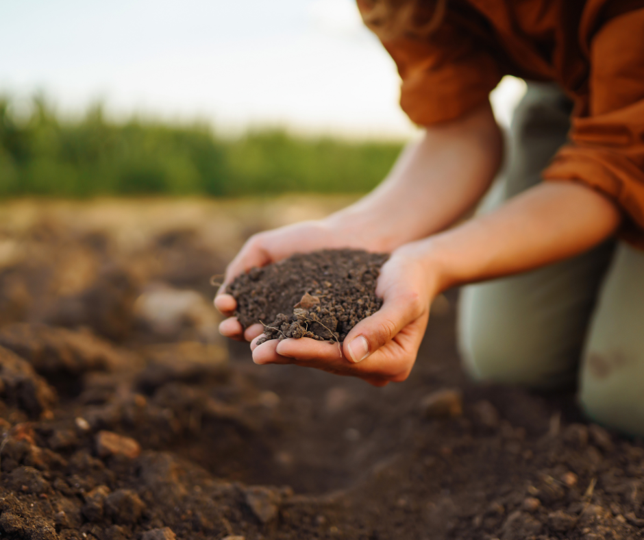 What to do in the Garden - March (Preparing Soil)